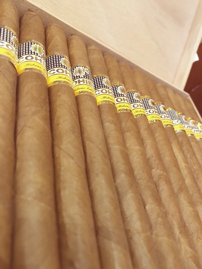 cohiba cuban cigar